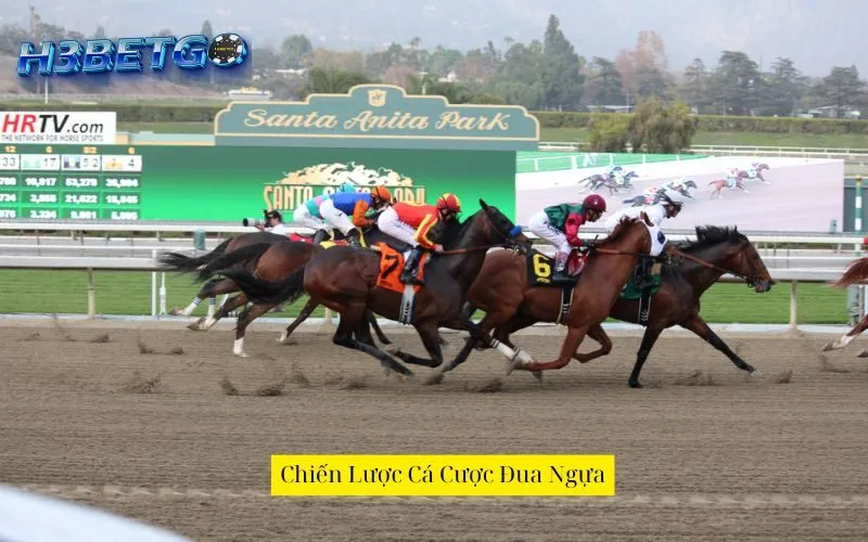 Chiến Lược Cá Cược Đua Ngựa