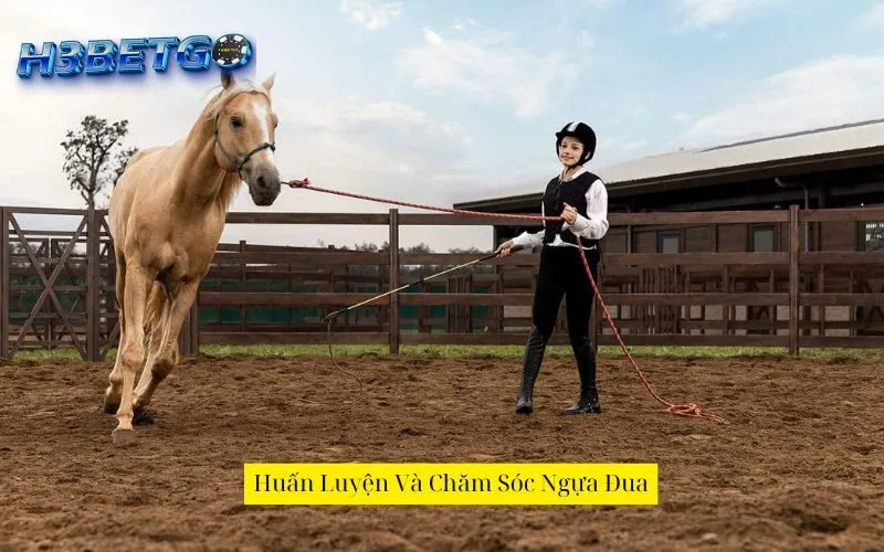 Huấn Luyện Và Chăm Sóc Ngựa Đua