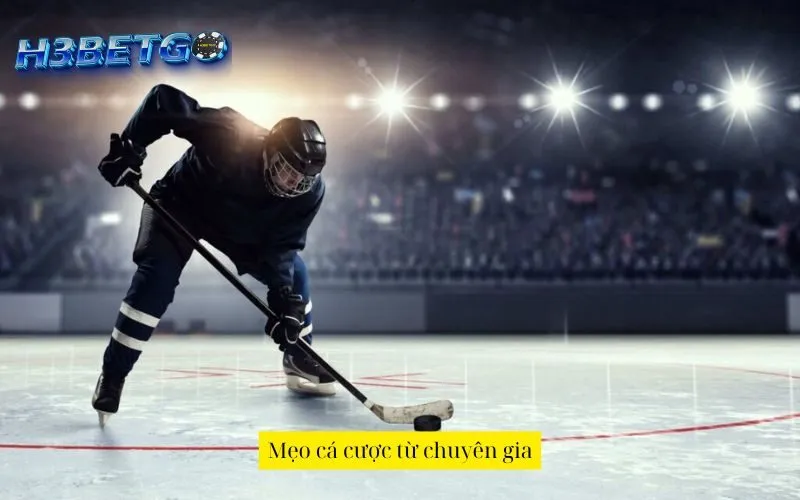 Mẹo cá cược từ chuyên gia
