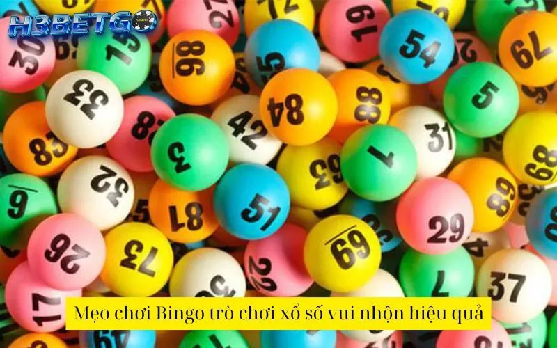 Mẹo chơi Bingo trò chơi xổ số vui nhộn hiệu quả