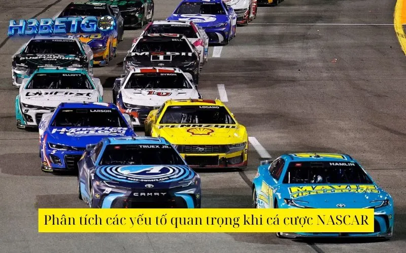 Phân tích các yếu tố quan trọng khi cá cược NASCAR